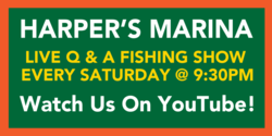 Q&Q Fishing Show Marina Banner Yellow White Text On Green Design