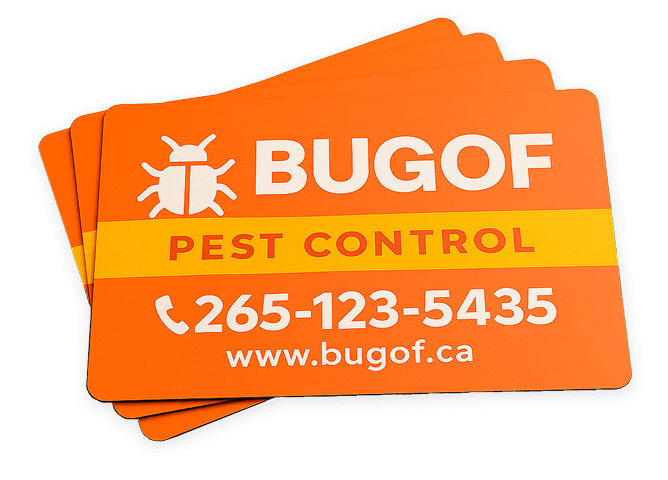 car magnets pest control