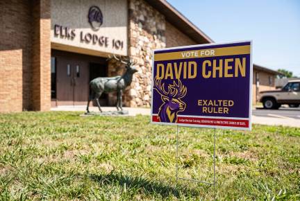 Printastic board election signs online result