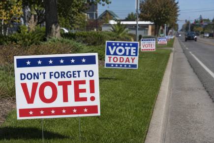 Printastic voting sign printers result