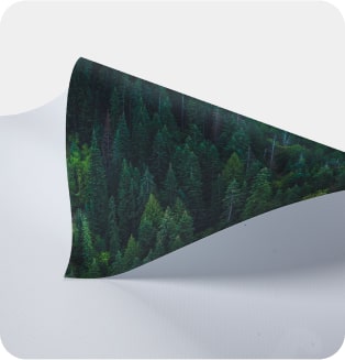 standard banner vinyl