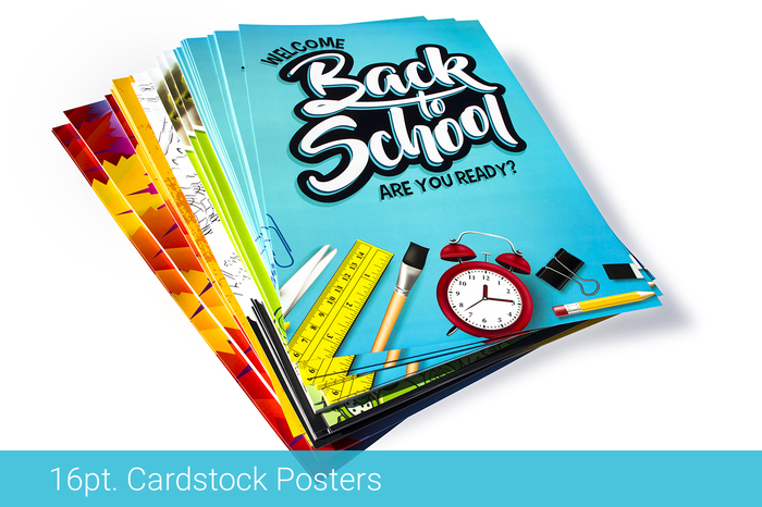16pt Printed Poster Cardstock Depiction