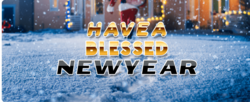 Have a Blessed New Year You Yard Card