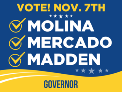 governor political yard sign template 10248