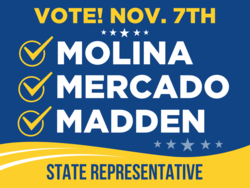 state-representative political yard sign template 10608