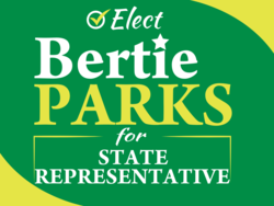 state-representative political yard sign template 10654