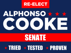 senate political yard sign template 10727