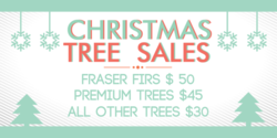 Christmas Tree Text Only Banner
