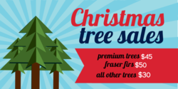 Christmas Tree Sales Starburst Design Banner