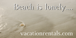 Vacation Beach Is Lonely Rental Banner