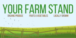 Farmers Market Farm Stand Green Farm Field Sky Design