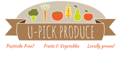 U-Pick Produce Vegetables Banner