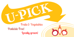 U-Pick Produce Fruits Banner