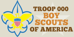 Boy Scouts Insignia With Star Troop Number Banner