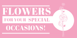 Pink Special Occasion Flowers Banner
