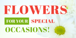 Flowers For Your Special Occasions Banner