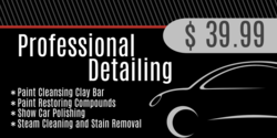 Professional Detail Services Banner
