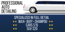 Professional Auto Detail With Services Offered Banner