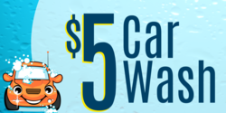 Single Price Point Car Wash Banner