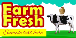 Farm Fresh Chicken on Cow Baner