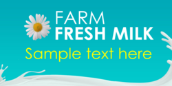 Farm Fresh Daisy Designed Banner