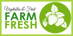 Strawberry Silhouette Farm Fresh Banner