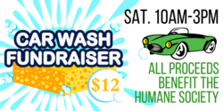 Sponge Design Car Wash Fundraiser Banner