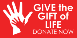 Donate Now Give The Gift Of Life Banner