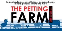 Petting Farm Promotion Animals Behind Fence Design