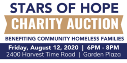 Stars of Hope Charity Auction Banner