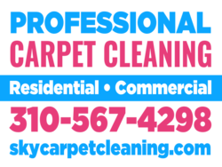 Light Blue and Pink Professional Carpet Cleaning Sign Split With Residential Commercial Middle Layer With Phone and URL Bottom Area