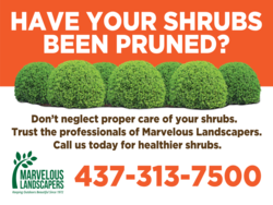 Photo of Shrubs Have Your Shrubs Been Pruned Tree &: Shrub Sign