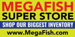 Branded Fish Superstore Banner