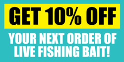 % Off Fishing Bait Banner