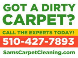 Green Orange and Red Got A Dirty Carpet Inquiry Sign With Custom Slogan Website and Phone Area