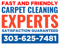 Red White and Blue Fast and Friendly Carpet Cleaning Experts Satisfaction Guarantee Sign With Phone Area