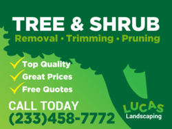 Green on Greet Tree Silhouette Tree &: Shrub Services Sign