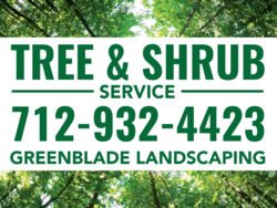 Photo of Tree Skyline Tree &: Shrub Landscaping Sign