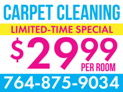 Carpet Cleaning Limited Special Sign With Custom Price and Phone Area
