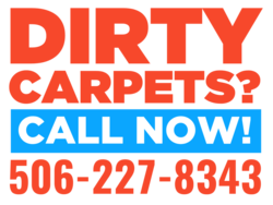 Red and Blue Dirty Carpets Inquiry Sign With Custom Phone Area
