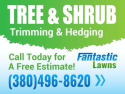 Tree &: Shrub Trimming and Hedging Sign