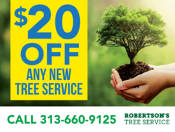 Photo of Hand Holding A Tree Custom % Off Tree &: Shrub Services Sign