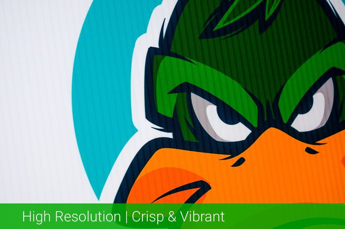 High Resolution Crisp & Vibrant 